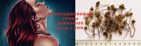 прущие крисы Михайловка