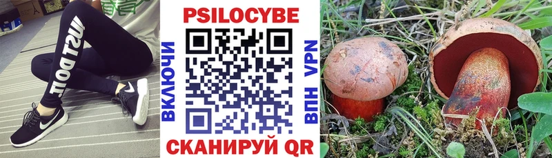 Псилоцибиновые грибы мицелий  Купить закладки  Безенчук 